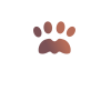 Big Cat Tracks